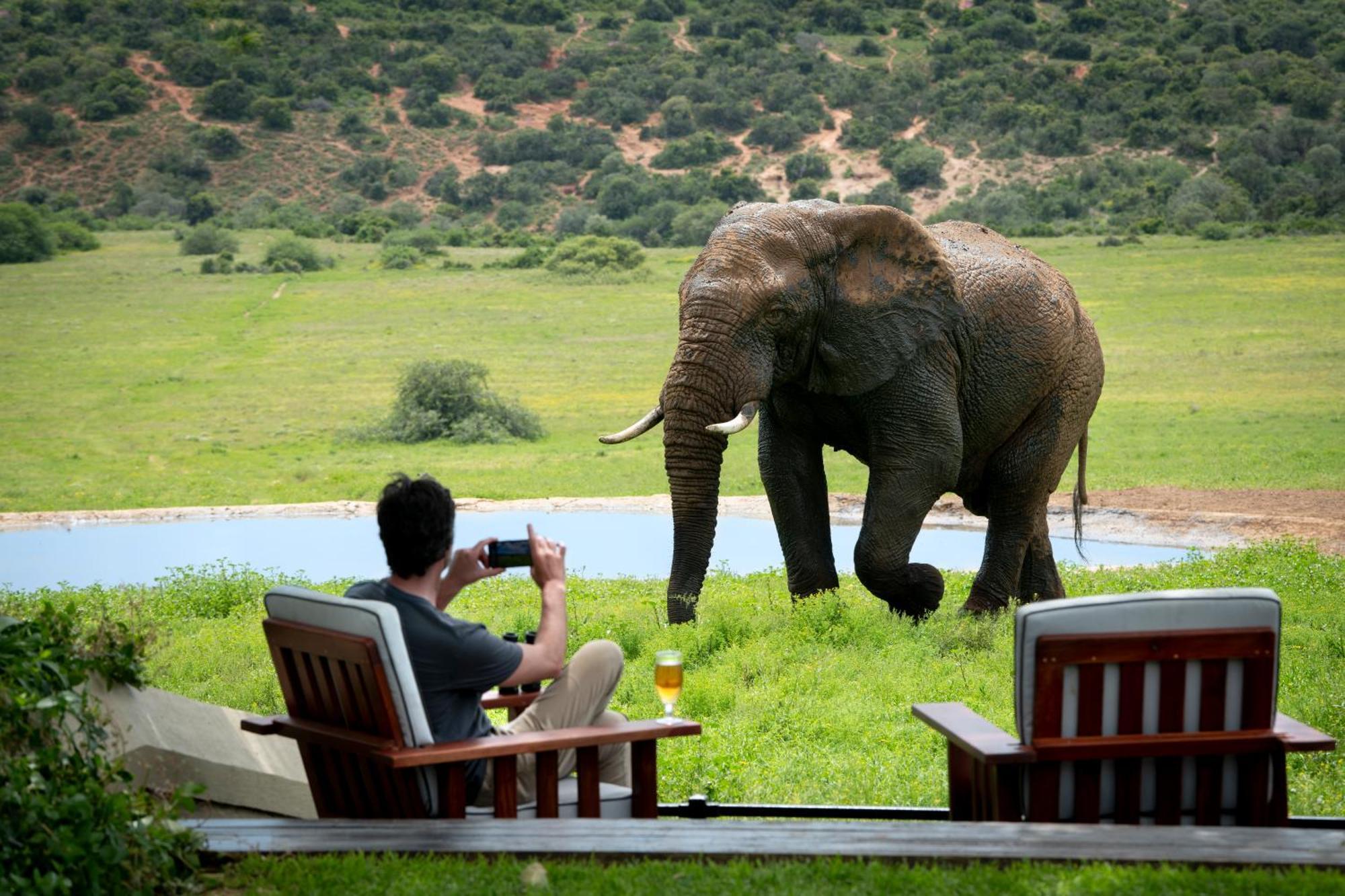 Gorah Elephant Camp Addo Exterior foto