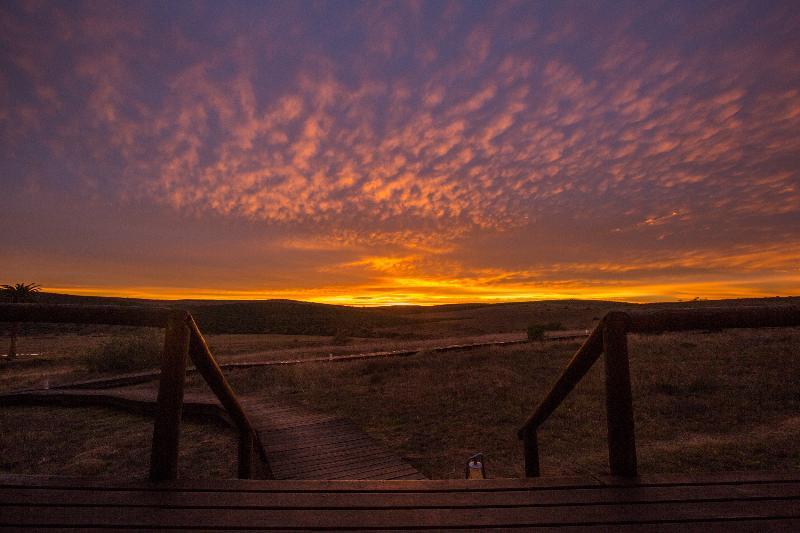 Gorah Elephant Camp Addo Exterior foto
