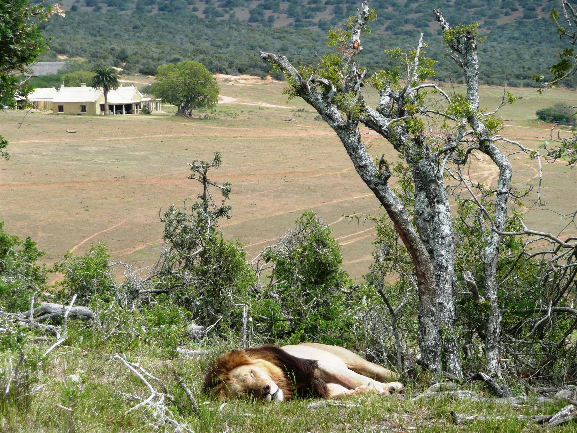 Gorah Elephant Camp Addo Exterior foto